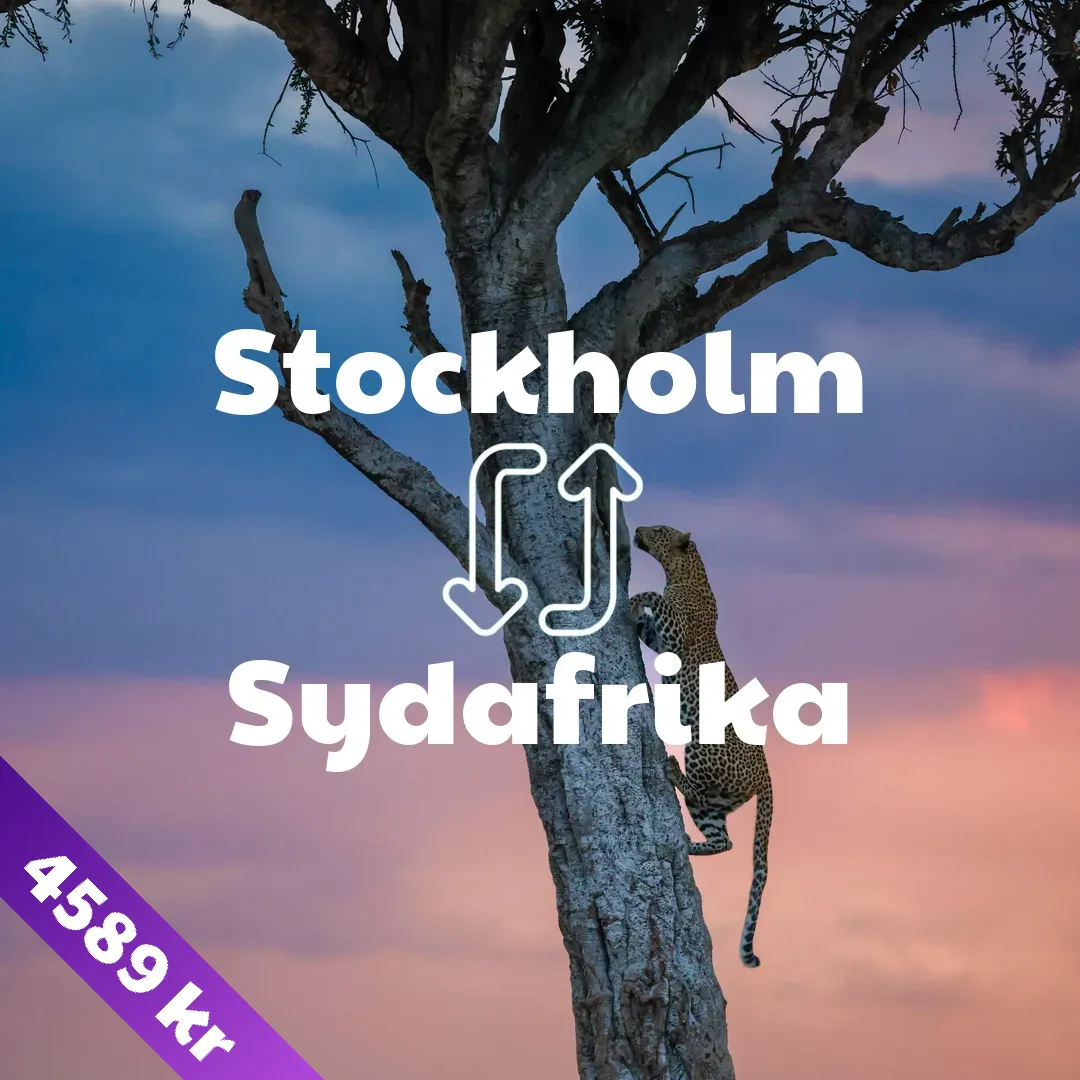 Stockholm - Sydafrika